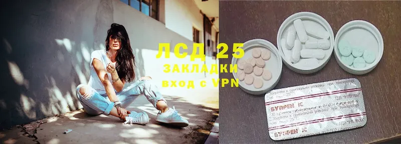 KRAKEN ССЫЛКА  Аргун  Лсд 25 экстази ecstasy 